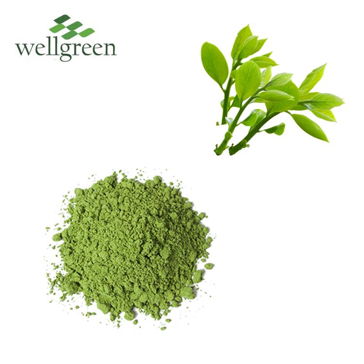 matcha tea powder matcha tea powder