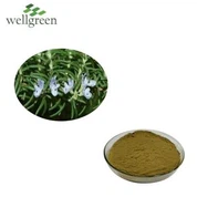 کارنوسک ایسڈ پاؤڈر