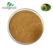 Acmella uleracea ایکسٹریکٹ پاؤڈر