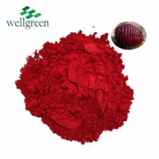 کارمین پاؤڈر