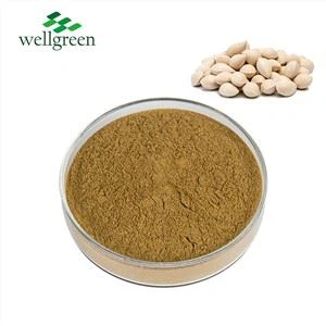 جِنکگو بیج کا نچوڑ