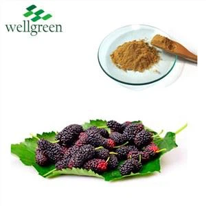 شہتوت پاؤڈر