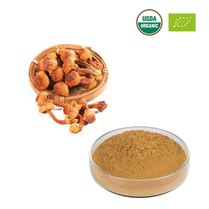 نامیاتی Agaricus Blazei ایکسٹریکٹ