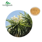 یوکا ایکسٹریکٹ پاؤڈر