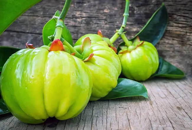 Garcinia Cambogia Extract Powder Garcinia Cambogia Extract Powder